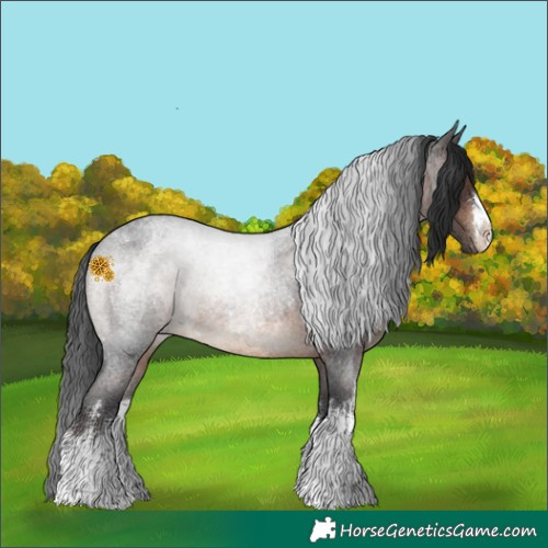 Horse Color:White Spotted Brown Roan Rabicano 