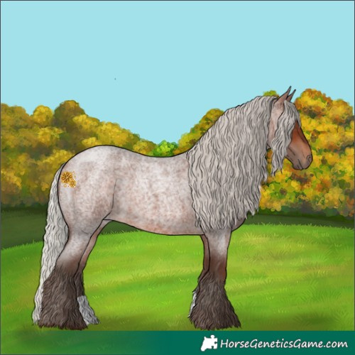 Horse Color:Silver Brown Roan 