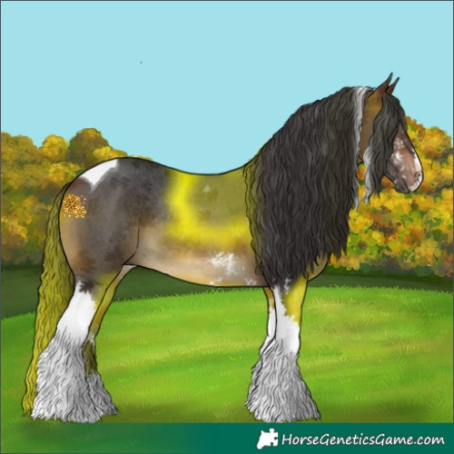 Horse Color:Bay Sabino Tobiano Rabicano