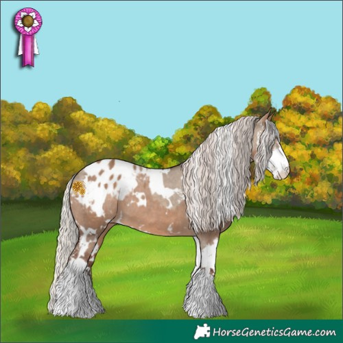 Horse Color:White Spotted Silver Brown Dun Sabino Blanket and White Spotted Silver Bay Dun Sabino Blanket