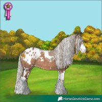 Horse Color:White Spotted Silver Brown Dun Sabino Appaloosa and White Spotted Silver Bay Dun Sabino Appaloosa