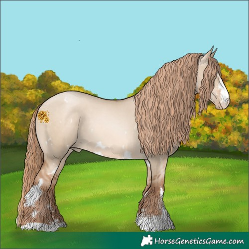 Horse Color:White Spotted Liver Red Dun Pearl Sabino Rabicano