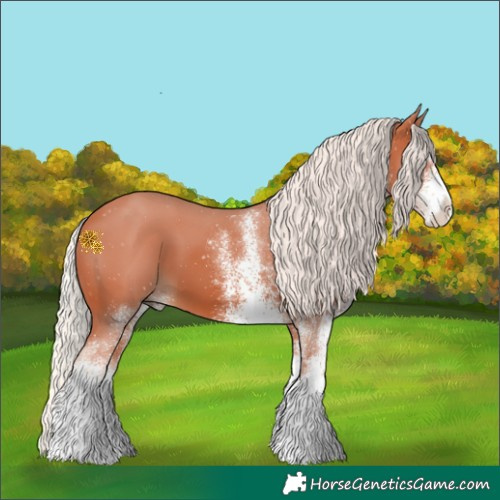 Horse Color:White Spotted Silver Bay
