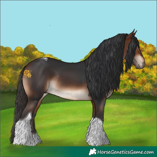 Horse Color:Bay Tobiano Rabicano