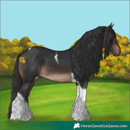 Horse Color:Brown Tobiano