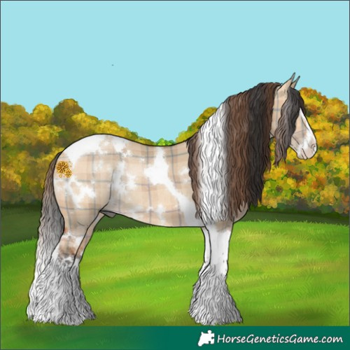 Horse Color:Plaid  White Spotted Bay Dun Splash Tobiano Rabicano 