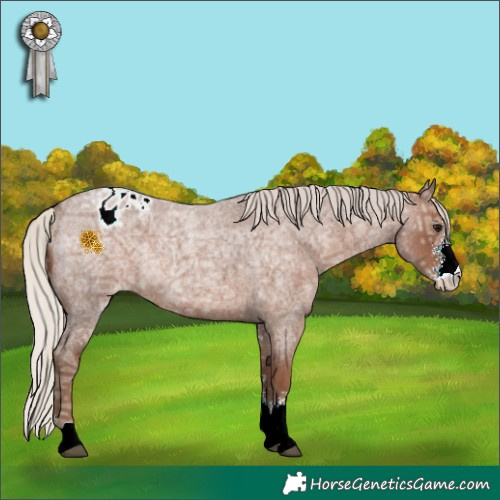 Horse Color:Silver Blue Ice Roan Sabino Varnish