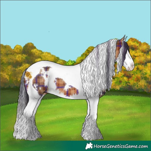 Horse Color:Plaid  White Spotted Bay Splash Tobiano 