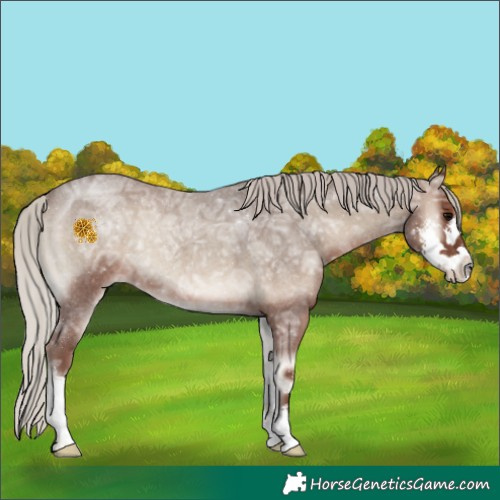 Horse Color:Silver Blue Onyx Ice Roan Sabino 