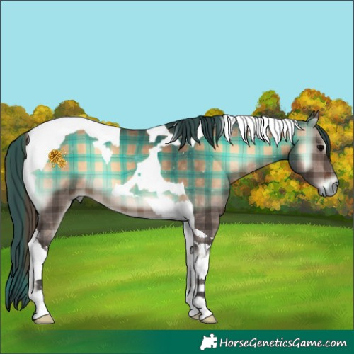 Horse Color:Plaid Brown Onyx Tobiano