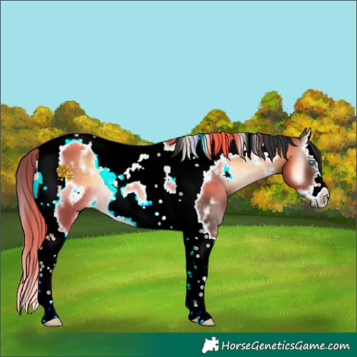 Horse Color:White Spotted Brown Onyx Splash Tobiano Frame Rabicano 