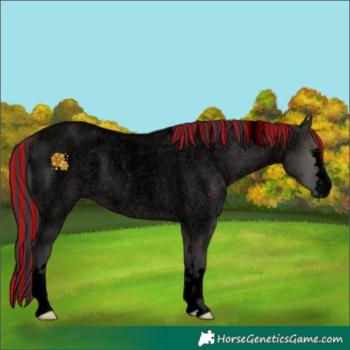 Horse Color:Void Painted Grullo Roan