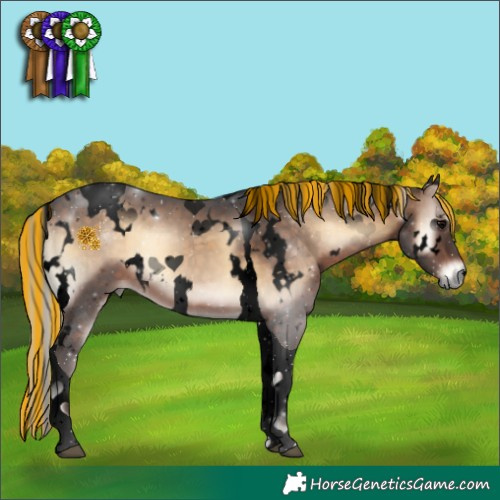Horse Color:Void Painted White Spotted Silver Brown Onyx Tobiano