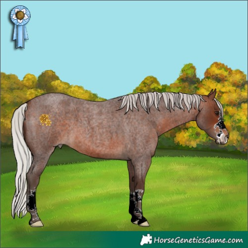 Horse Color:Silver Brown Roan