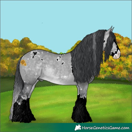 Horse Color:White Spotted Brown Chinchilla Dun Splash 