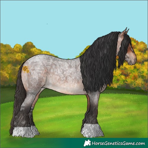 Horse Color:Bay Ice Roan