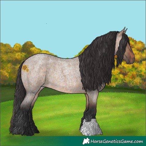 Horse Color:Brown Roan Dun