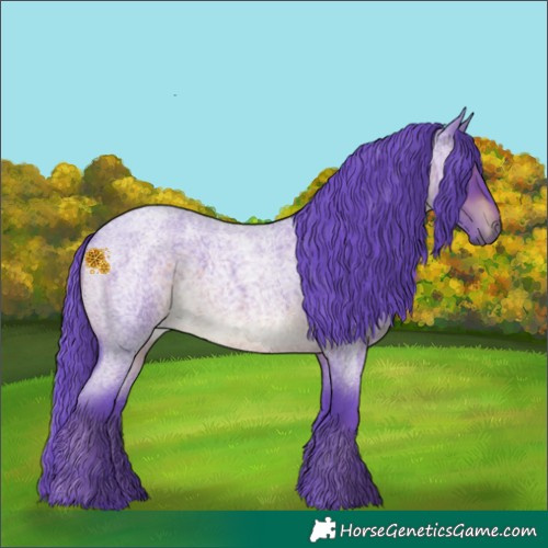 Horse Color:Watercolor Brown Roan 