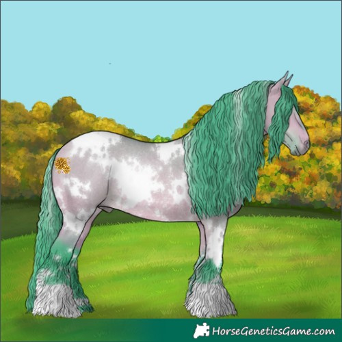 Horse Color:Watercolor White Spotted Bay Dun Rabicano 