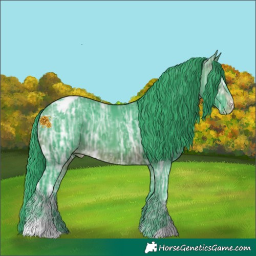 Horse Color:Watercolor Brown Ice Sabino Appaloosa