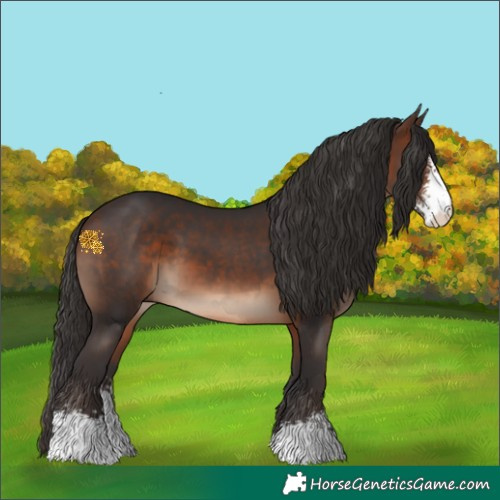 Horse Color:Brown Sabino 