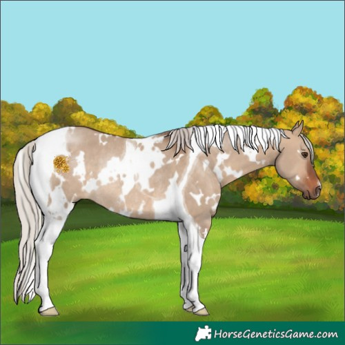 Horse Color:White Spotted Silver Brown Dun Tobiano Rabicano 