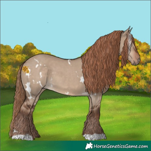 Horse Color:White Spotted Liver Red Dun