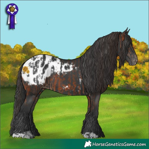 Horse Color:Bay Snowcap  and Black Blanket 