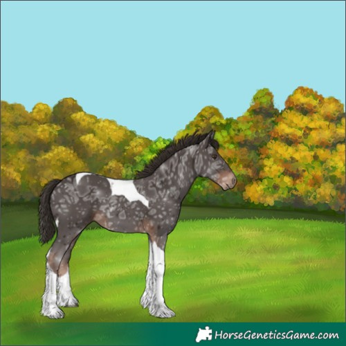 Horse Color:Liver Chestnut Ice Tobiano 