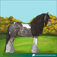 Horse Color:Liver Chestnut Ice Tobiano 
