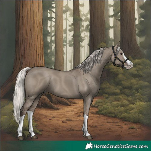 Horse Color:Silver Grullo Splash