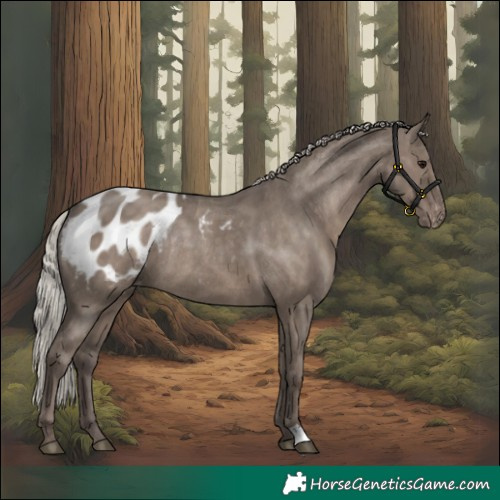 Horse Color:Silver Grullo Blanket Rabicano