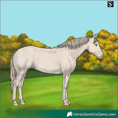 Horse Color:Smoky Creme 