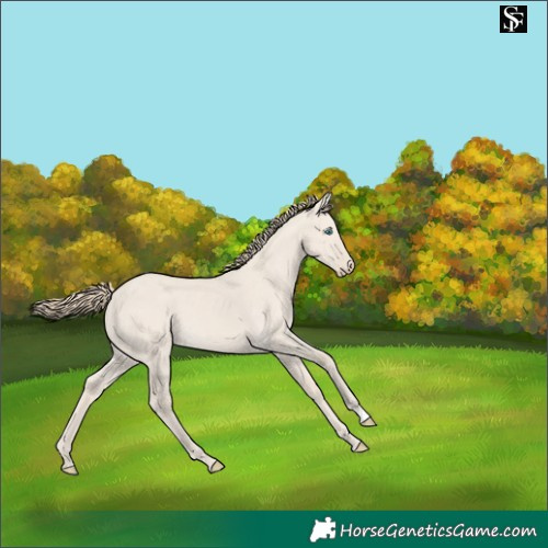 Horse Color:Smoky Creme Dun 