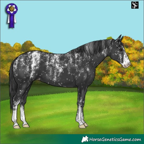 Horse Color:Powder White Black Snowflake Varnish