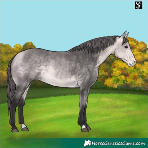 Horse Color:Platinum Buckskin Skewed LP Spotted