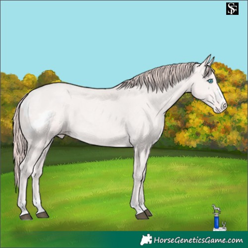 Horse Color:Platinum Buckskin Pearl Skewed LP Spotted 