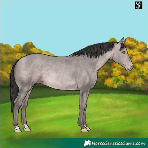 Horse Color:Platinum Sable Champagne