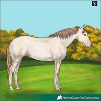 Horse Color:Sable Cream Champagne Pearl 