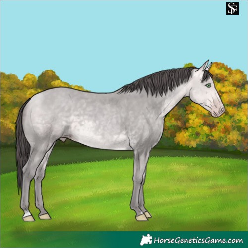 Horse Color:Platinum Amber Cream Champagne