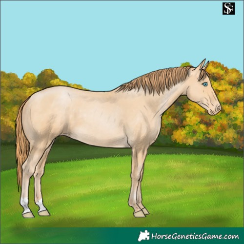 Horse Color:Buckskin Pearl Skewed LP Spotted 