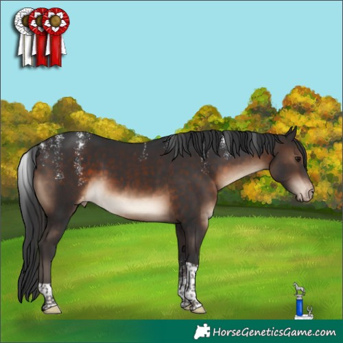 Horse Color:Powder White Brown Tobiano Varnish