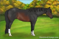 Horse Color:Brown 