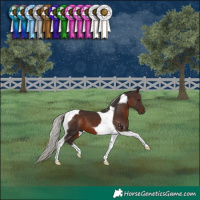 Horse Color:Silver Brown Tobiano