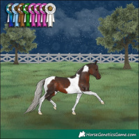Horse Color:Silver Brown Tobiano 