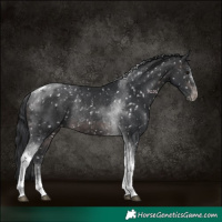 Horse Color:Platinum Brown Tobiano Appaloosa Rabicano 