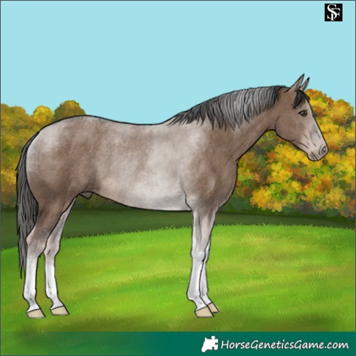 Horse Color:Liver Red Dun Tobiano Rabicano 