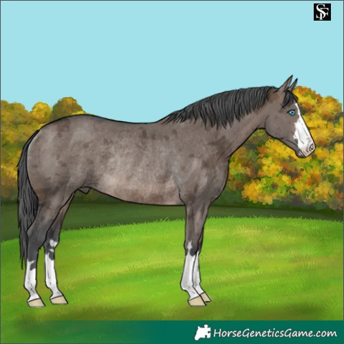 Horse Color:Brown Dun Merle Rabicano