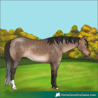 Horse Color:Brown Dun Brindle