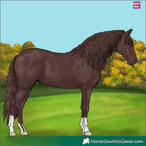 Horse Color:Chocolate Black